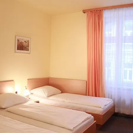 Hotel Hotel-pension Wild 2*