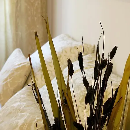 Aeki Apartament *