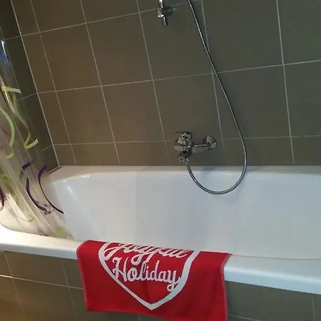 Dachloft Apartment *