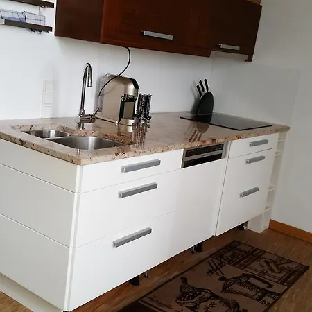 Dachloft Apartment Vienna