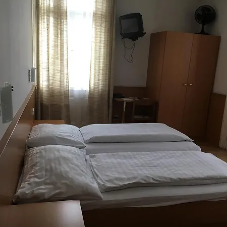 Ani Vienna