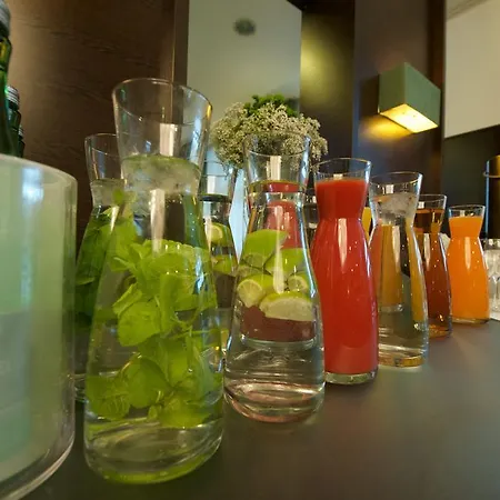 维也纳雷纳斯酒店 酒店 4*