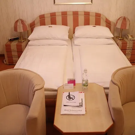 Hotel Schweizerhof 3*