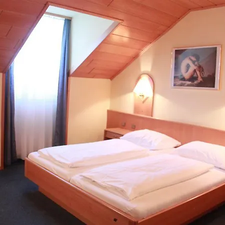 Hotel-pension Wild 2*