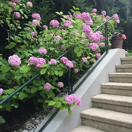 Exquisites Gartenapartment In Eleganter Jugendstilvilla Wien