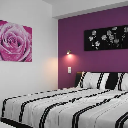 בית הארחה Vienna Central Rooms 3*