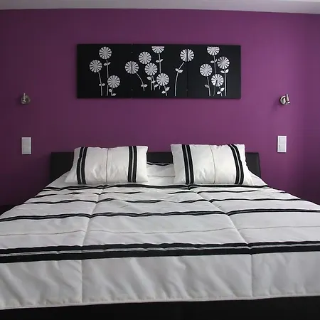 Vienna Central Rooms וינה
