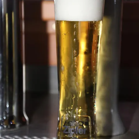 宾馆 Gasthaus Zum Brandtner 维也纳