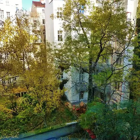 Strohgasse Apartment *