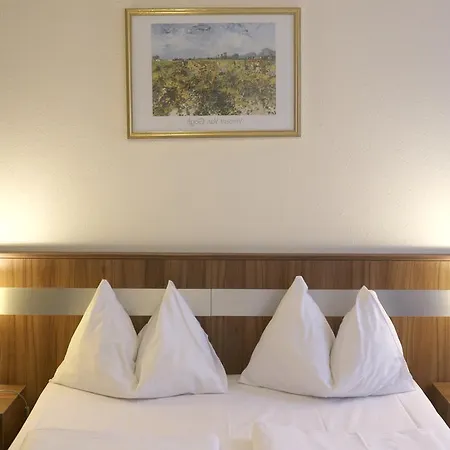 Hotel Carina 3*