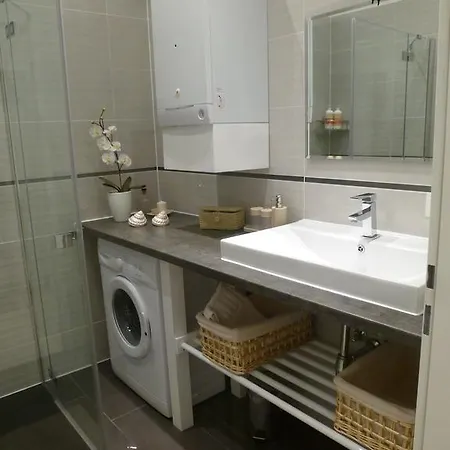 Charming Viennese Apartment *