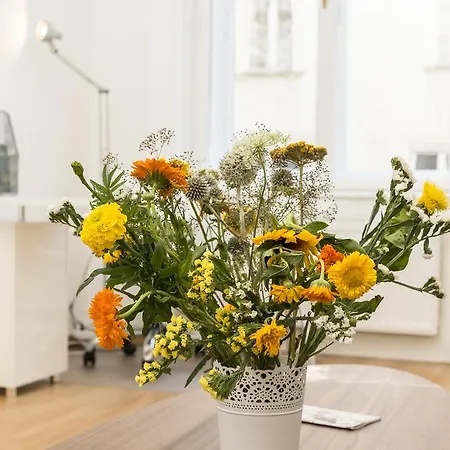 City Kaerntner Str. 17 By Welcome2vienna Apartment Wien