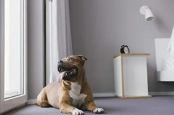 Magdas 2* Wiedeń