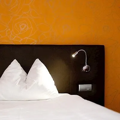 Hotel Fuerst Metternich 3*