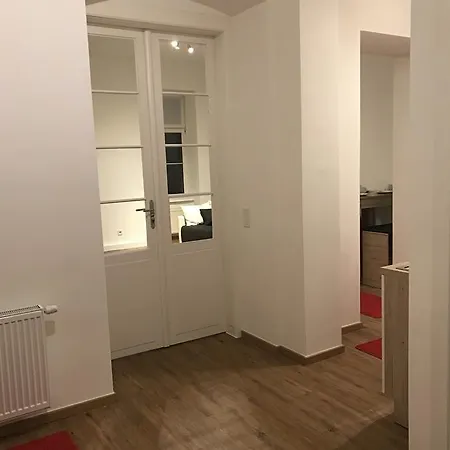 Zm * Vienna