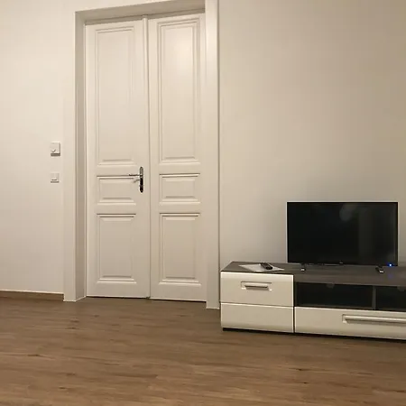Zm * Vienna