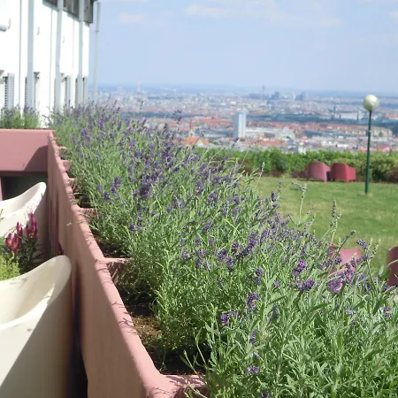 Albergue Palace