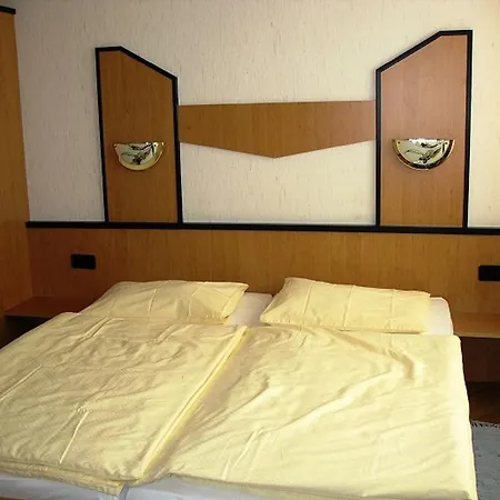 Hotel-restaurant Fritz Matauschek מלון