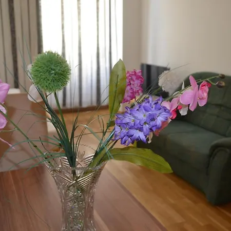 Apartment Goldfisch Taborstrasse *