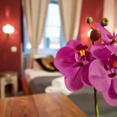 Hotel Urban Boutique 2*