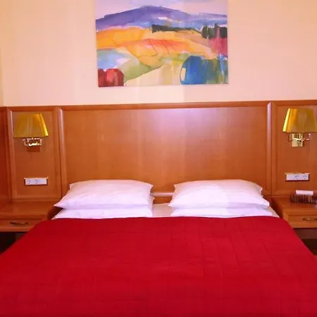 Corvinus - Newly Renovated Hotel 4*
