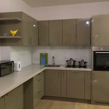 Heart Of Hoher Markt Apartment *