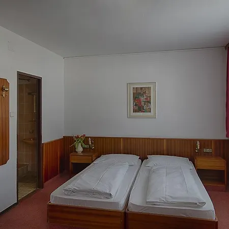 Hotel-restaurant-cafe Sophienalpe Hotel 3*