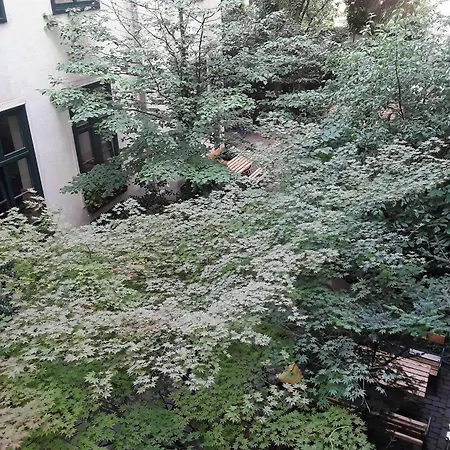 波兹拉尼姆旅馆 *