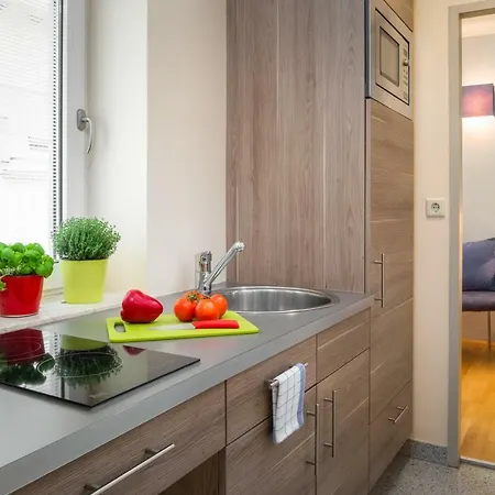 Appartement-hotel An Der Riemergasse Вена