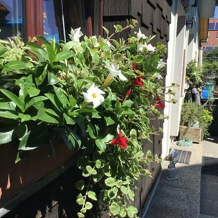 Guest house Haus Sanz 3*