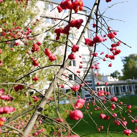 Huetteldorf * Вена