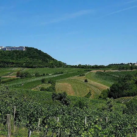 City - Kahlenberg *