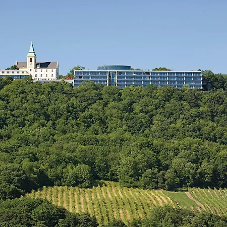 City - Kahlenberg Vienna