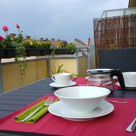 Visit Roof Terrace Morning Sun * Vienna