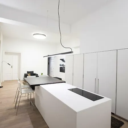 Apartment Opernring *
