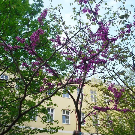 Zieglergasse *