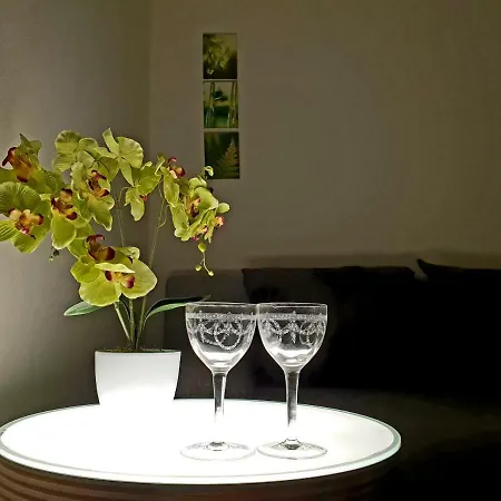 Vienna Home Apartment *