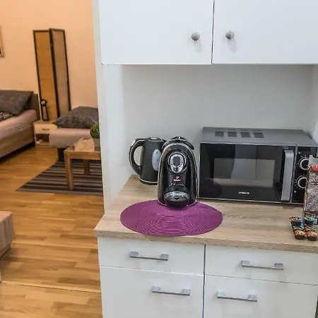 Gorgeous Flat Only 15 Min To Center Apartment Vienna