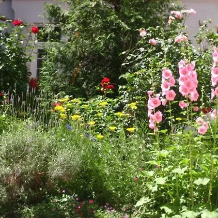 Apartment Freundliches Mit Innenhof-garten
