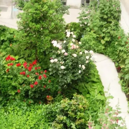 Appartement Freundliches Mit Innenhof-garten