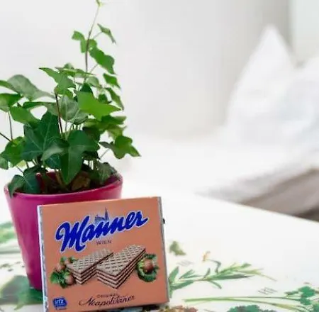 Contactless Check-in Located Netflix&nespresso Homestay Vienna