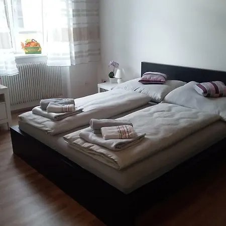 Apartment Alser *