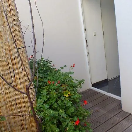 Royal Palace Apartment *