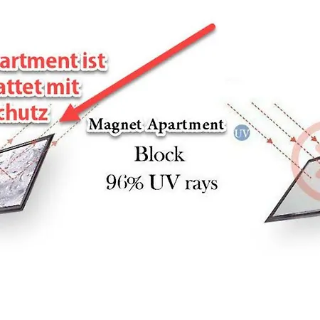 Magnet Vienna