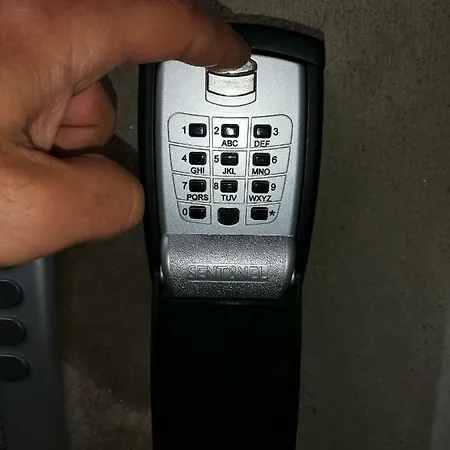 Magnet *