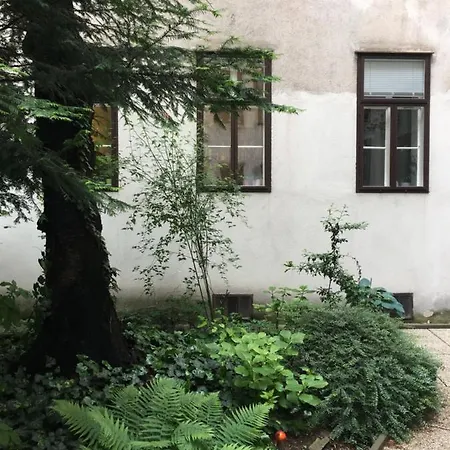 Grüne Hinterhofoase Mitten Im Neunten
