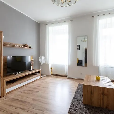 Sunny Renovated Close To Downtown Apartment Vienna