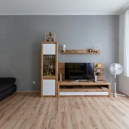 Sunny Renovated Close To Downtown Apartment *