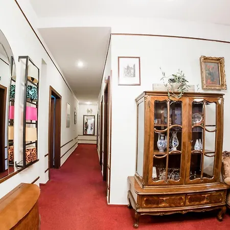 Отель Hotel-pension Dormium Вена