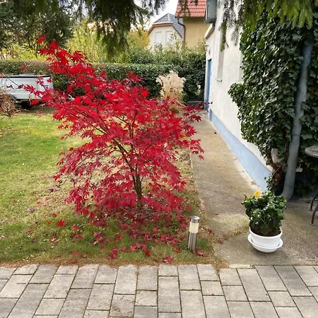Cavallina Private For Ladies Homestay Vienna